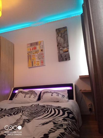 Le Gite "Manhattan Studio" Besancon Proche Centre Commerce المظهر الخارجي الصورة